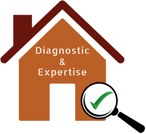 logo_diagnostic_expertise